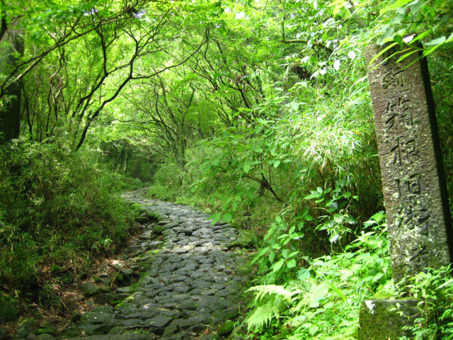 箱根旧街道